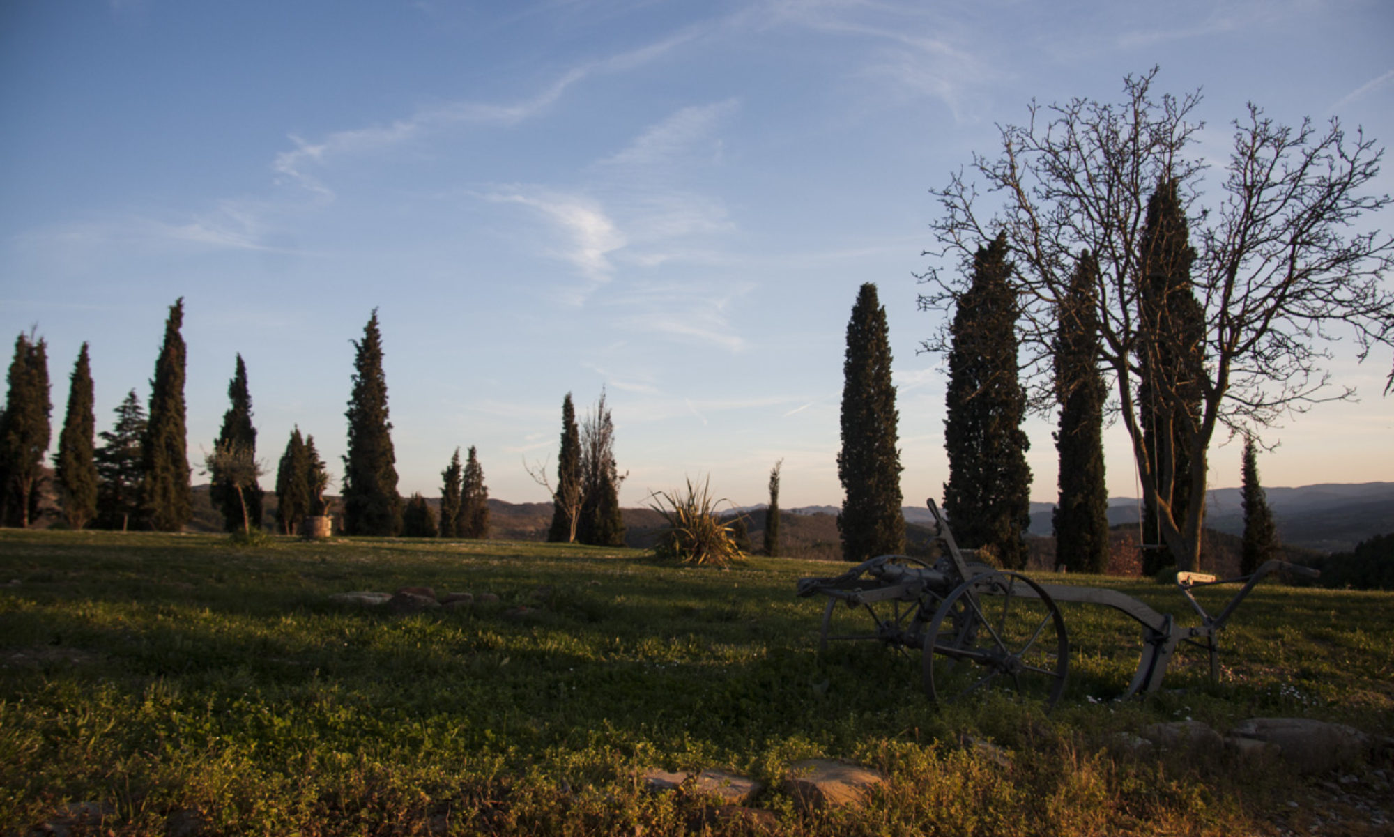 B&B Le Terre di Caprano